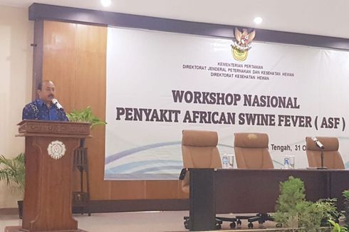 Pemerintah Indonesia Waspadai Penyebaran Penyakit African Swine